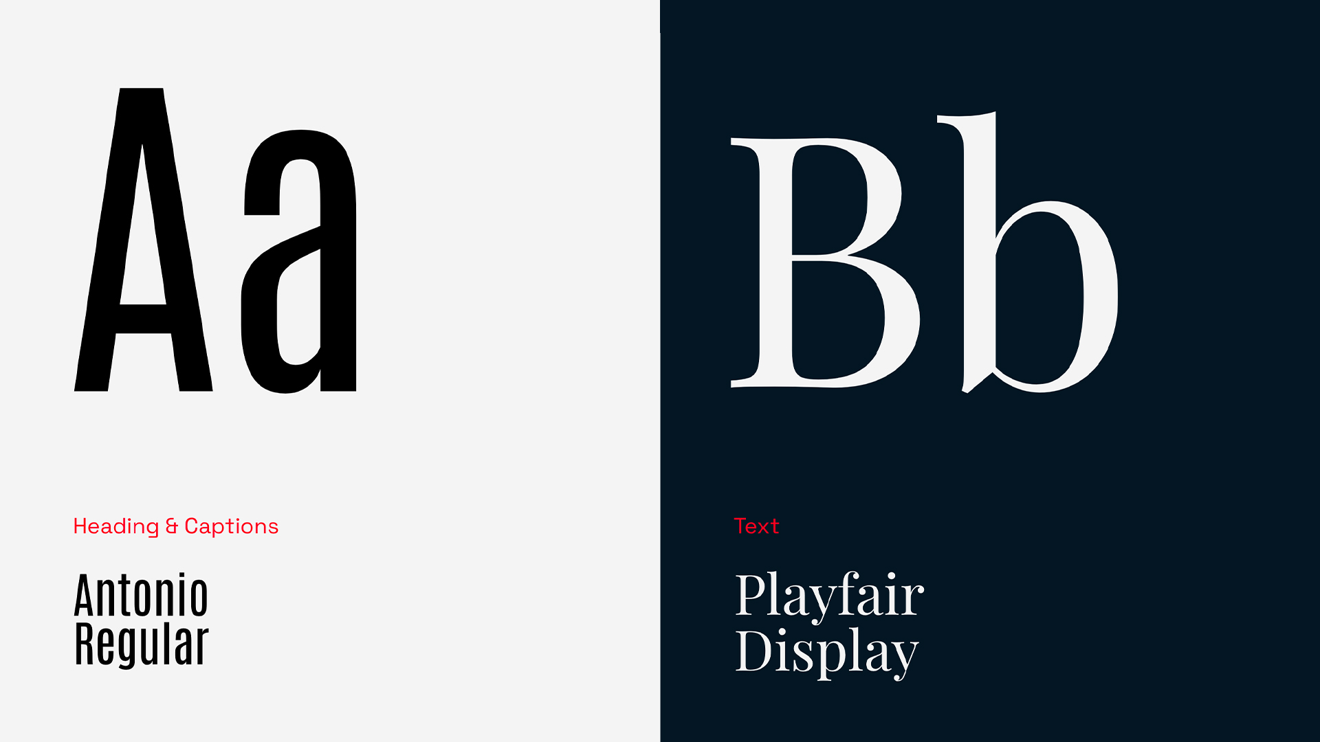 focus font utilizzati per la brand identity di Tazzari EV