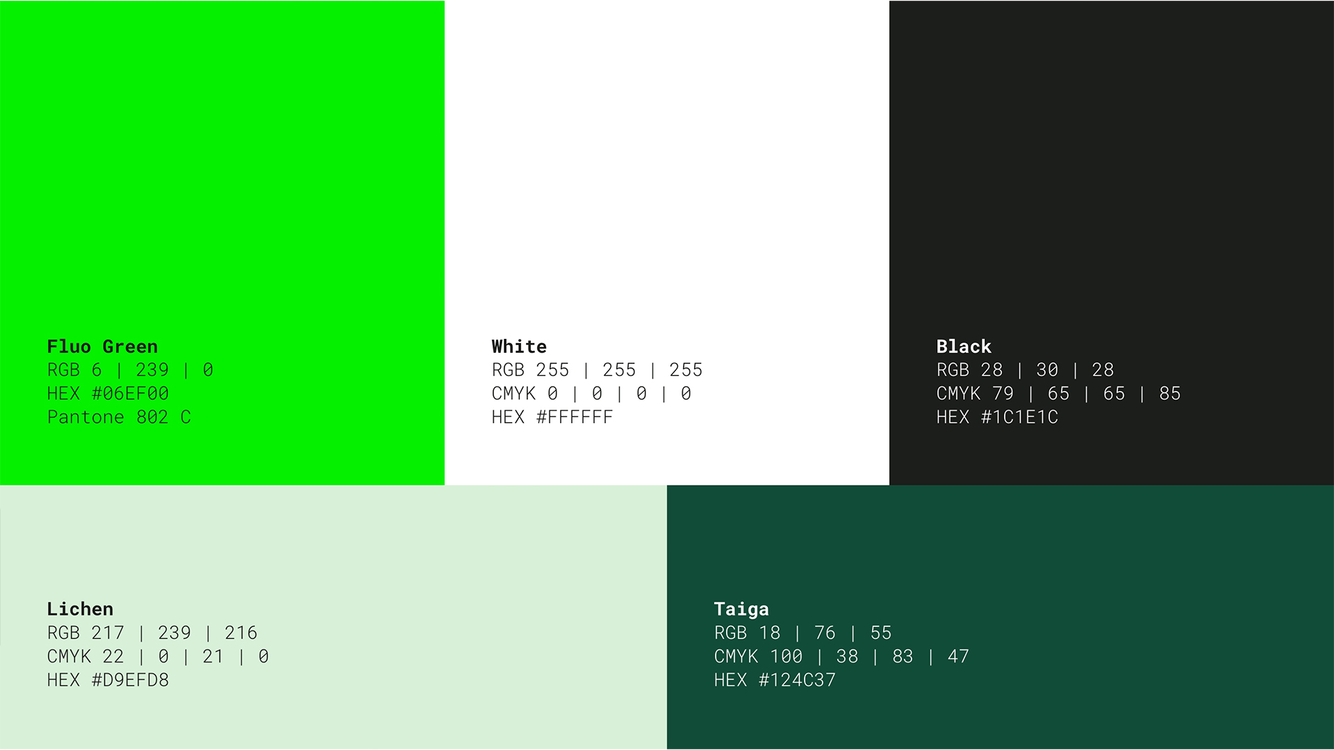 palette colori utilizzata per la brand identity di Next Charge con tonalità di verde bianco e nero