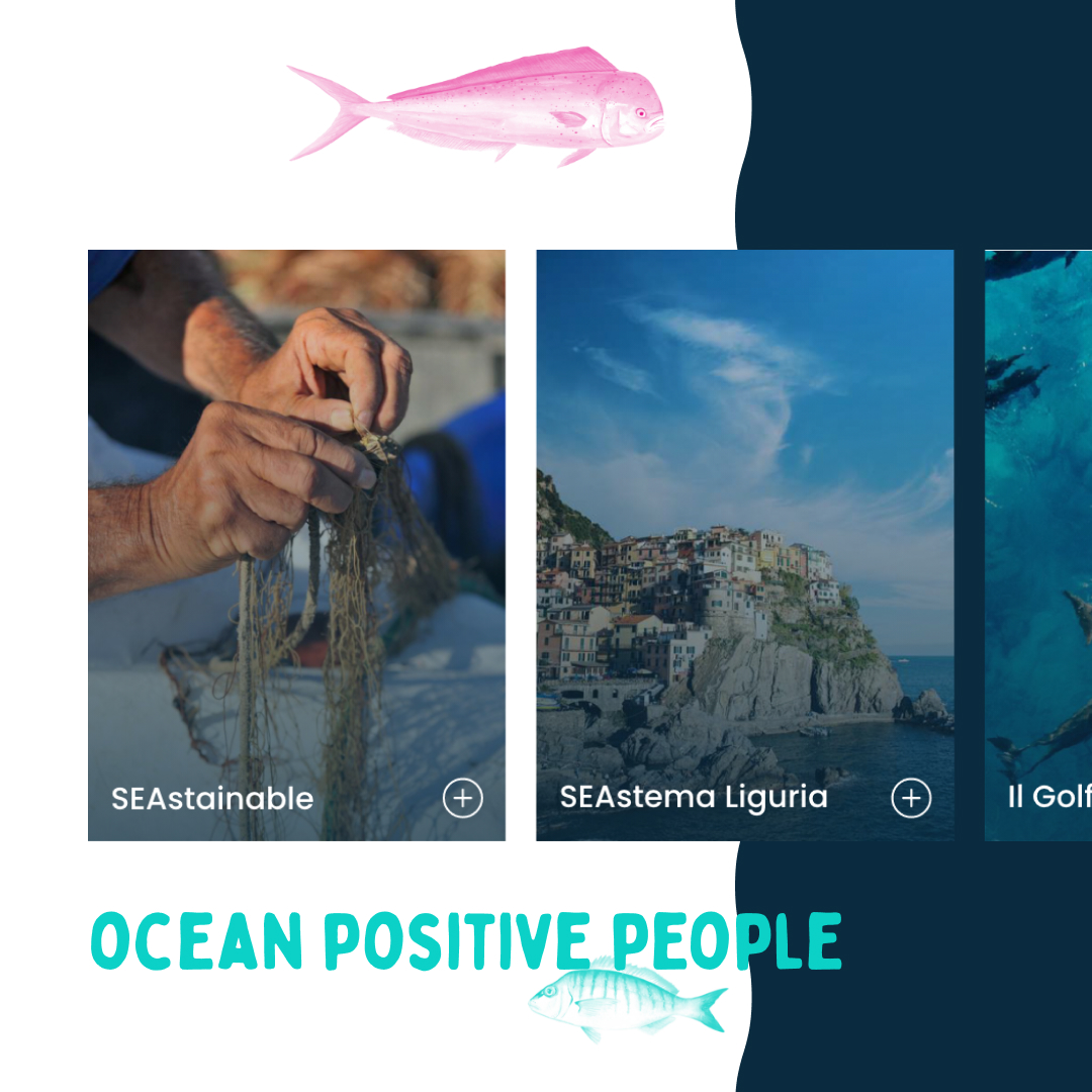 schermate del website di Worldrise
