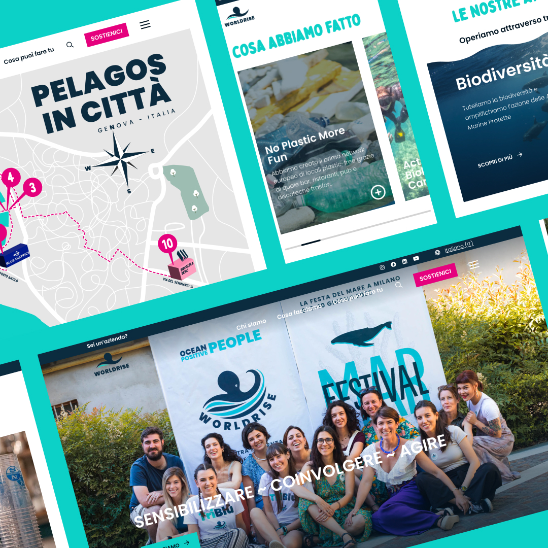 schermate del website di Worldrise